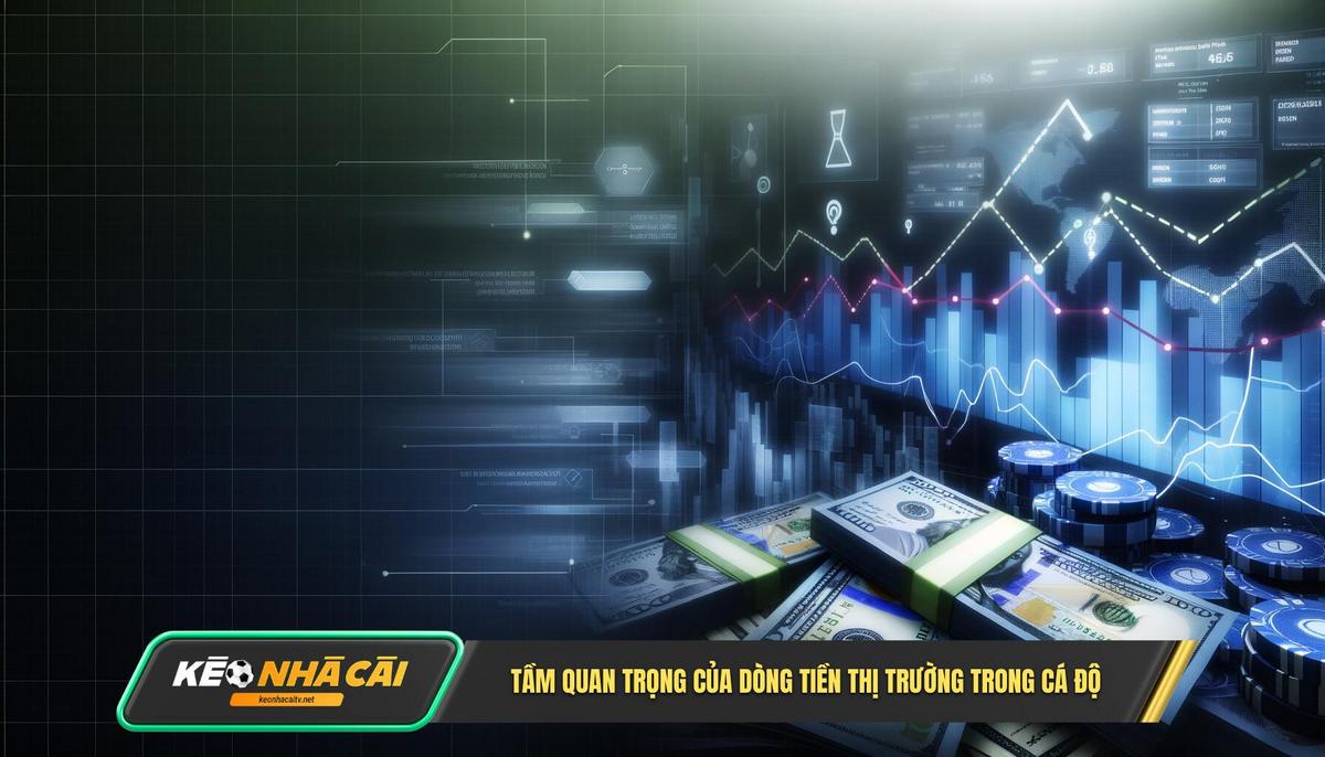 Tam Quan Trong Cua Dong Tien Thi Truong Trong Ca Do Tầm Quan Trọng Của Dòng Tiền Thị Trường Trong Cá Độ